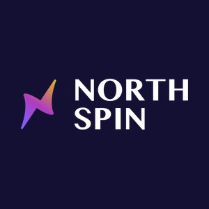 Northspin logo